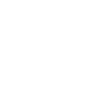 AIBoomi Logo Animation